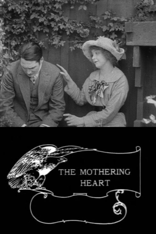 Movie poster for The Mothering Heart (1913)