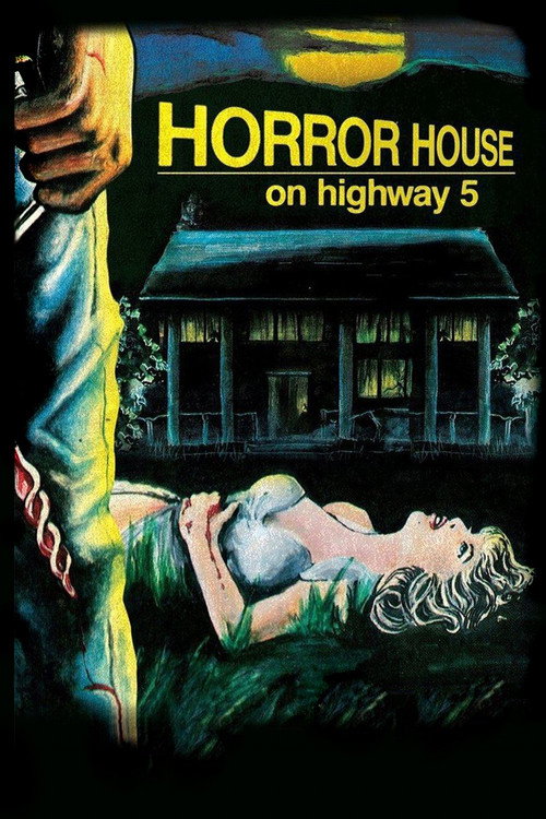 Movie poster for Horror House on Highway Five (1985)