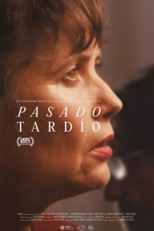 Movie poster for Pasado Tardío (2022)