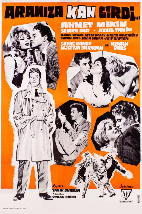 Movie poster for Aramıza Kan Girdi (1962)