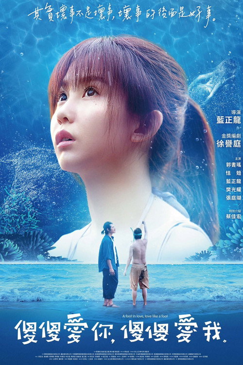 Movie poster for A Fool in Love, Love Like a Fool (2019)