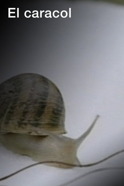 Movie poster for El caracol (2007)