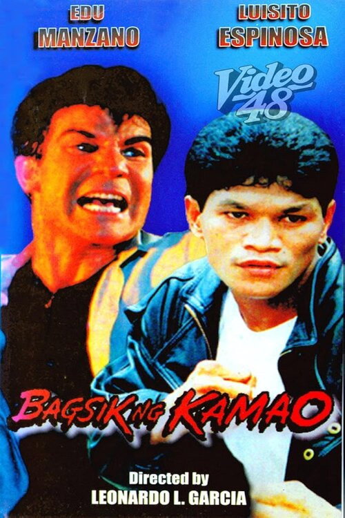 Movie poster for Bagsik ng kamao (1997)