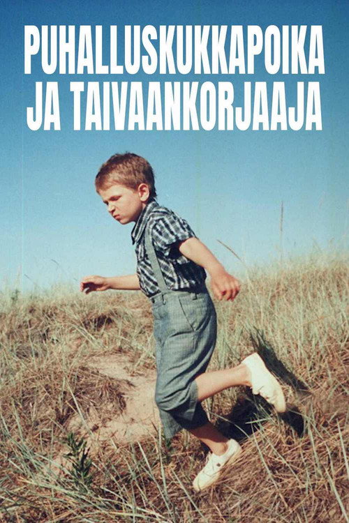 Movie poster for Puhalluskukkapoika ja taivaankorjaaja (2002)