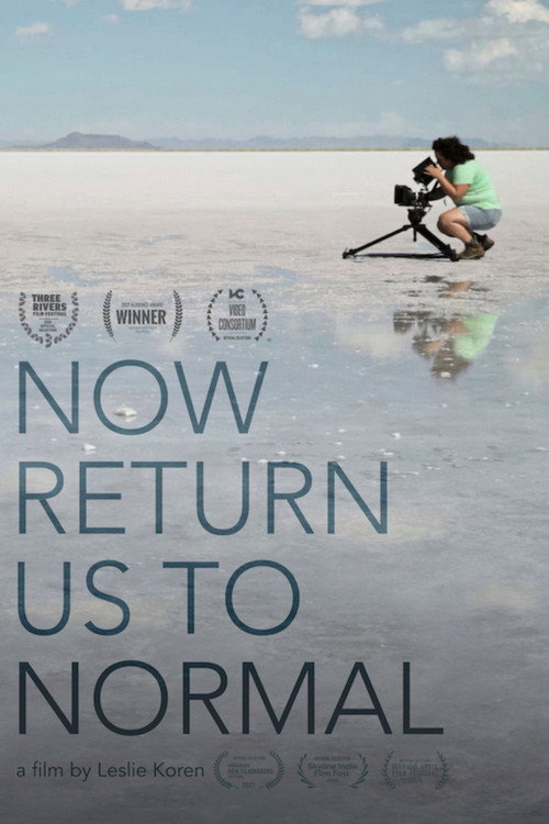Movie poster for Now Return Us To Normal
