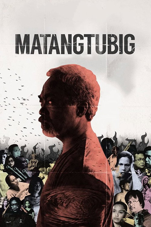 Movie poster for Matangtubig (2015)