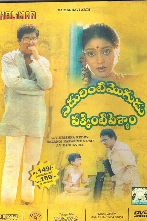 Movie poster for Edurinti Mogudu Pakkinti Pellam (1991)