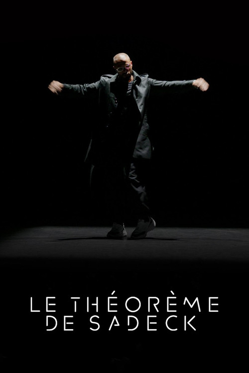 Movie poster for Le Théorème de Sadeck (2024)