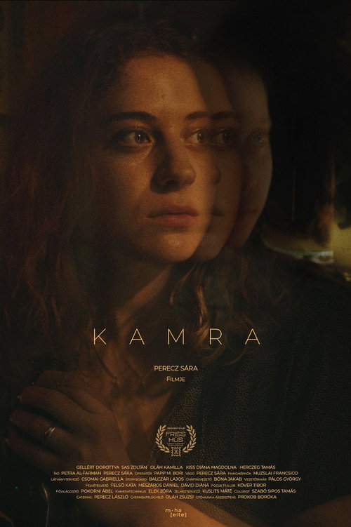 Movie poster for Pantry (2024)
