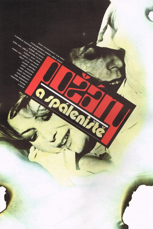 Movie poster for Požáry a spáleniště (1981)