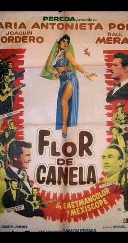 Movie poster for Flor de canela (1959)