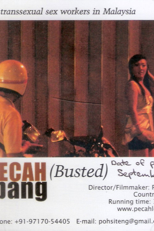 Movie poster for Busted (2008)