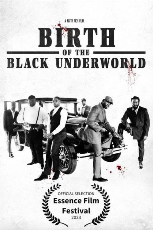 Movie poster for Birth of the Black Underworld
