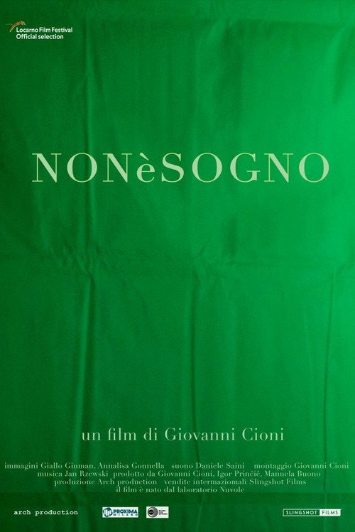 Movie poster for Not a Dream (2019)