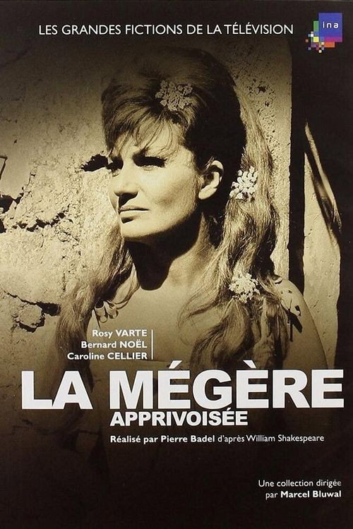 Movie poster for La Mégère apprivoisée (1964)