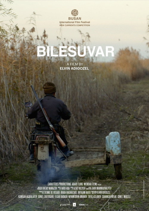 Movie poster for Bilesuvar (2020)