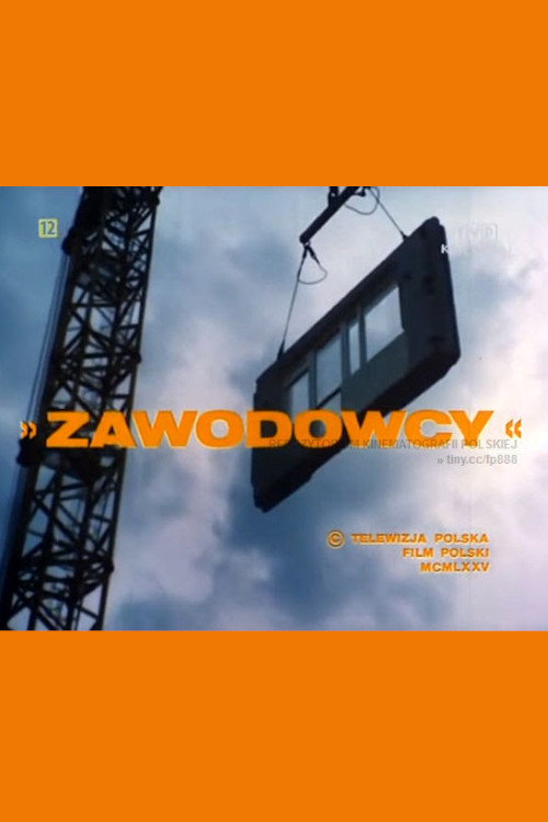Movie poster for Zawodowcy (1975)