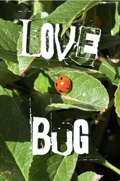 Movie poster for Lovebug (2026)