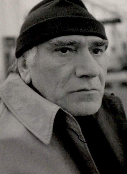 Movie poster for Last Station (1994)
