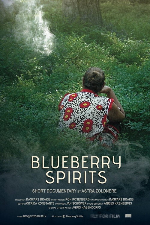 Movie poster for Blueberry Spirits (2017)