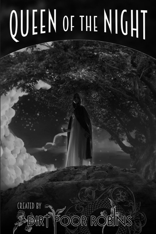 Movie poster for Queen of the Night (2021)