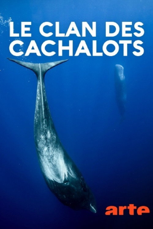 Movie poster for Le clan des cachalots (2019)