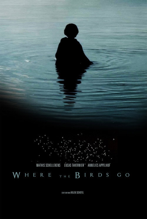 Movie poster for Where the birds go (2019)