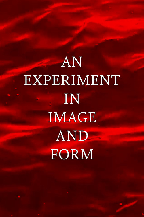 Movie poster for An Experiment in Image and Form (2024)