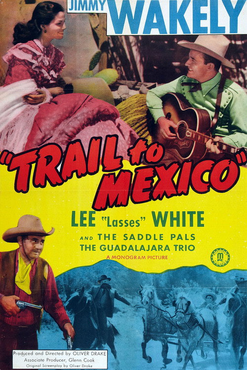 Movie poster for Trail to Mexico (1946)