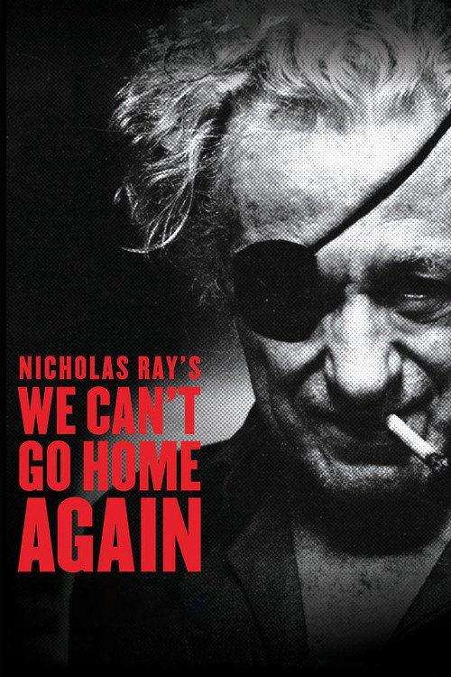 Movie poster for We Can't Go Home Again (1973)