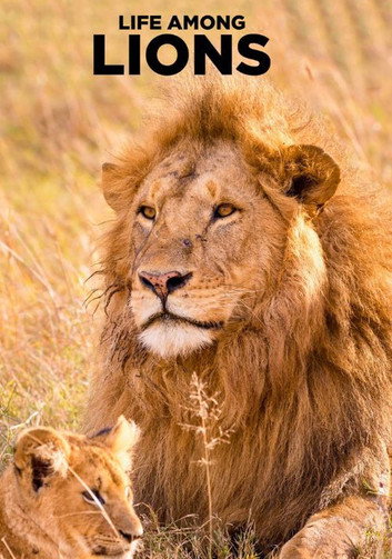 Life Among Lions poster