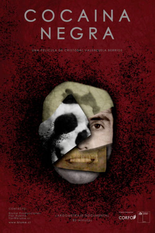 Black Cocaine poster