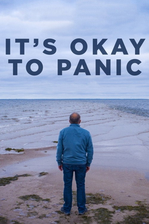 Movie poster for It's Okay to Panic (2020)
