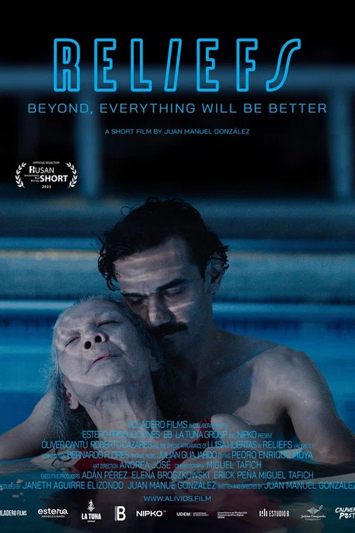 Movie poster for Reliefs (2025)