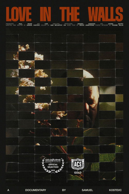 Love in the Walls poster