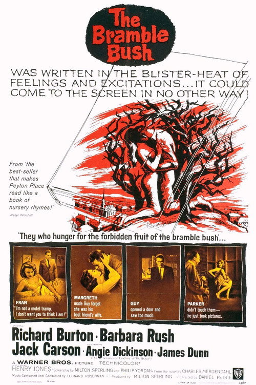 Movie poster for The Bramble Bush (1960)