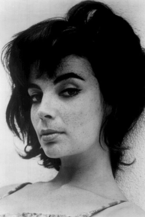 Karyn Kupcinet profile