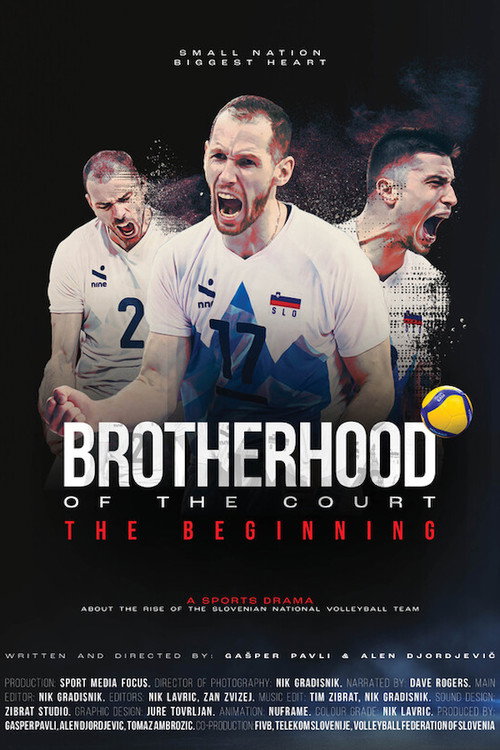 Movie poster for Brotherhood of the Court: Beginning (2026)