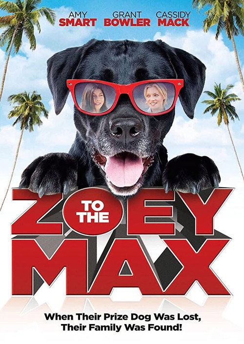 Movie poster for Zoey to the Max (2015)