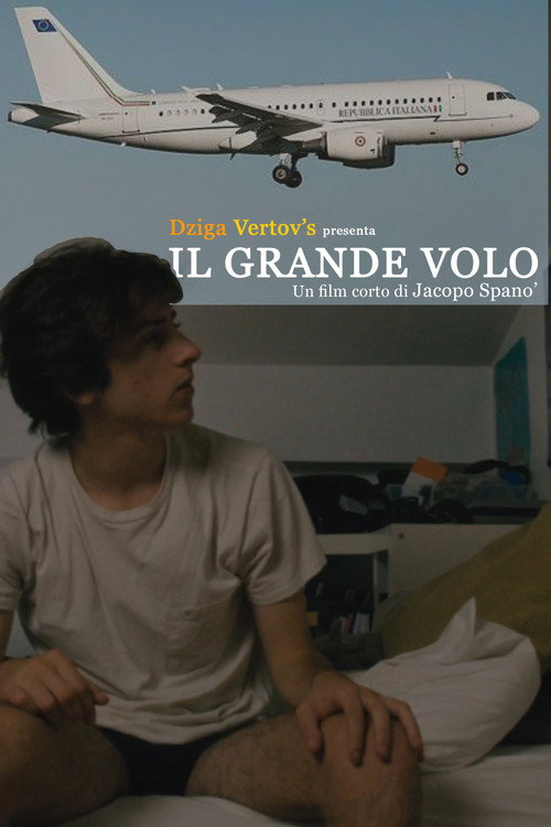Movie poster for Il grande volo (2024)