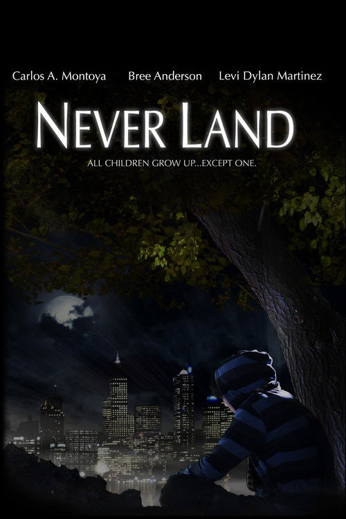 Movie poster for Never Land (2010)