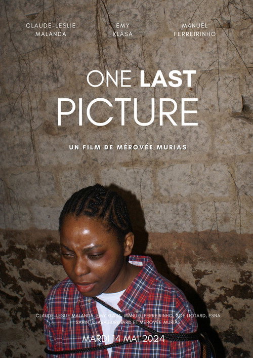 Movie poster for One Last Picture (2024)