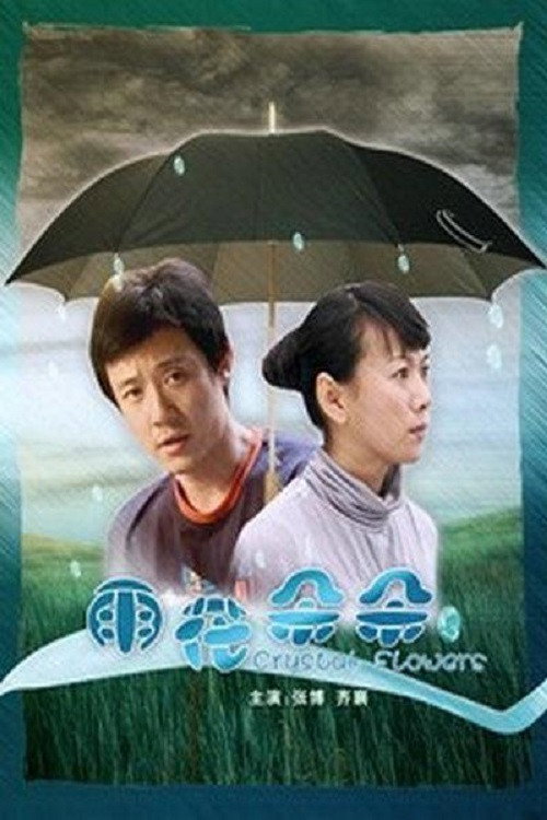 Movie poster for 雨花朵朵 (2008)