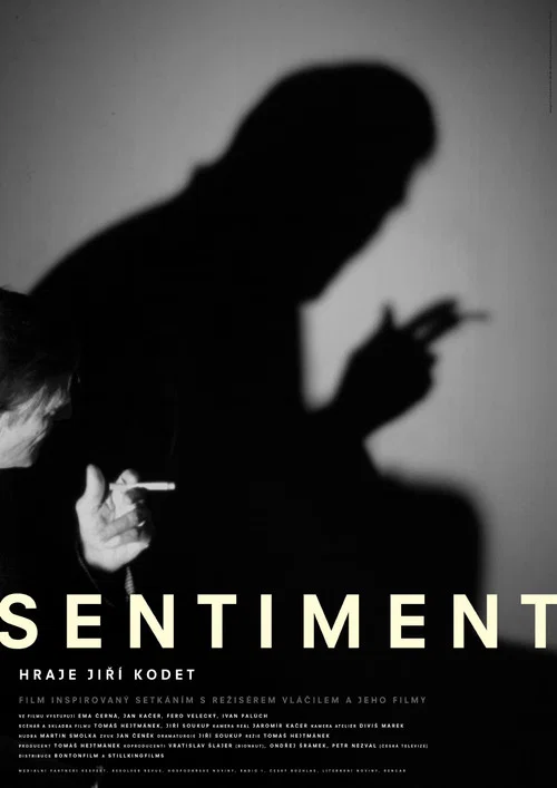 Movie poster for Sentiment (2003)