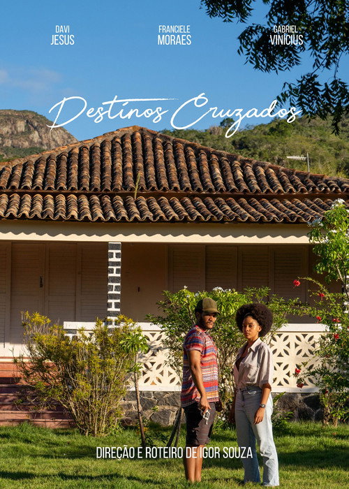 Movie poster for Destinos Cruzados