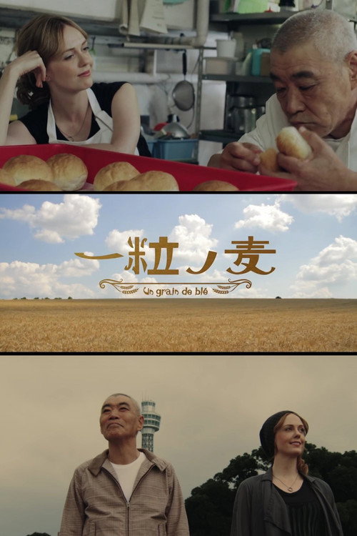 Movie poster for A Grain of Wheat (2016)