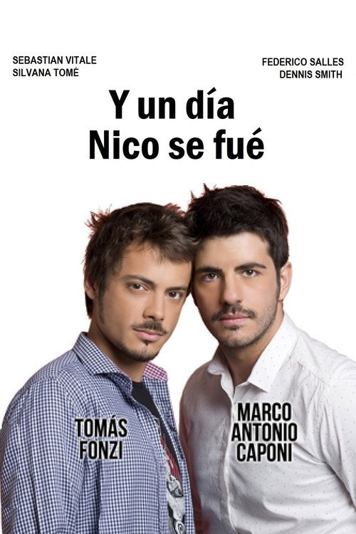Movie poster for Y un día Nico se fue (2013)