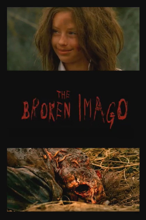 Movie poster for The Broken Imago (2008)