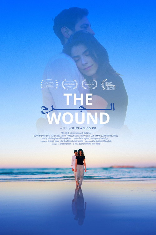 Movie poster for The Wound (2024)