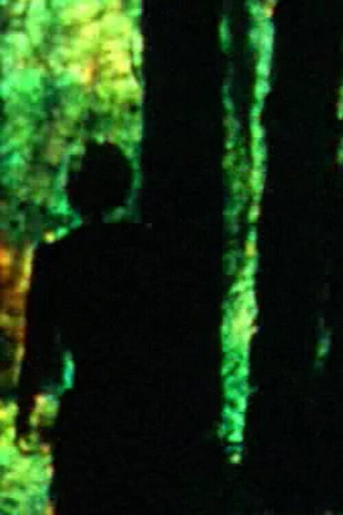 Movie poster for Meandering (2015)